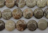 CFA228 15.5 inches 12mm flat round chrysanthemum agate beads