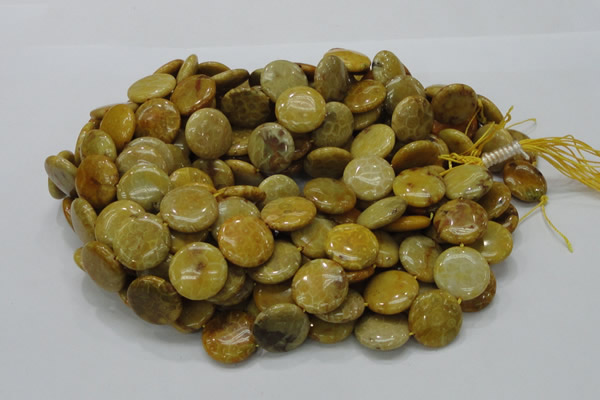 CFA43 15.5 inches 20mm flat round yellow chrysanthemum agate beads