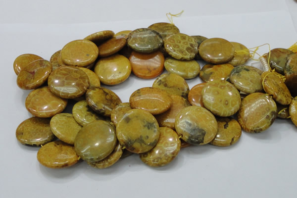 CFA45 15.5 inches 30mm flat round yellow chrysanthemum agate beads