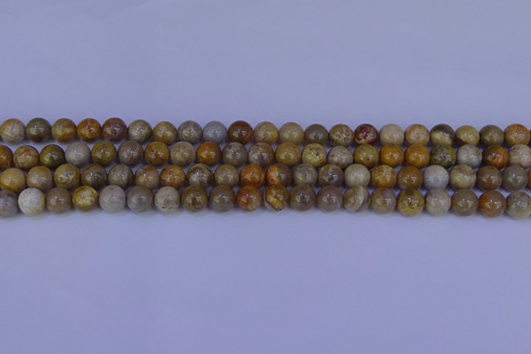 CFC201 15.5 inches 6mm round fossil coral beads wholesale