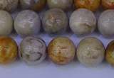 CFC203 15.5 inches 10mm round fossil coral beads wholesale