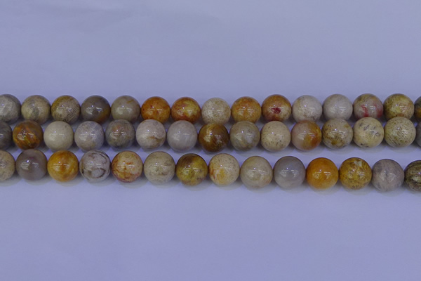 CFC204 15.5 inches 12mm round fossil coral beads wholesale