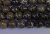 CFC211 15.5 inches 6mm round grey fossil coral beads wholesale