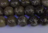 CFC213 15.5 inches 10mm round grey fossil coral beads wholesale