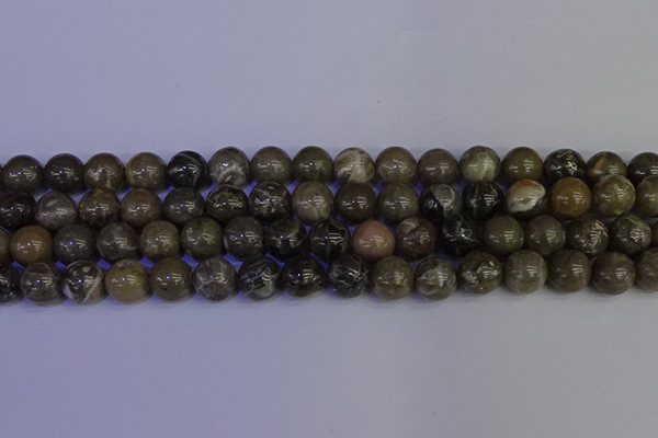 CFC214 15.5 inches 12mm round grey fossil coral beads wholesale