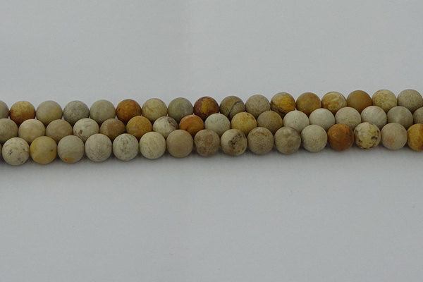 CFC222 15.5 inches 8mm round matte fossil coral beads wholesale