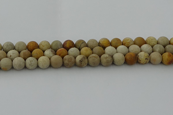 CFC223 15.5 inches 10mm round matte fossil coral beads wholesale