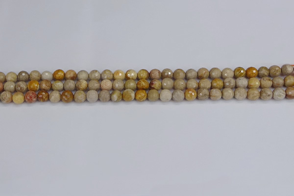 CFC228 15.5 inches 4mm faceted round fossil coral beads