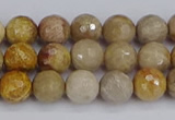 CFC229 15.5 inches 6mm faceted round fossil coral beads