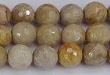 CFC230 15.5 inches 8mm faceted round fossil coral beads