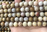 CFC323 15.5 inches 10mm round fossil coral beads wholesale