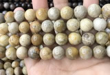 CFC325 15.5 inches 14mm round fossil coral beads wholesale