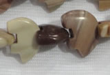 CFG796 12.5 inches 14*18mm carved animal jasper beads