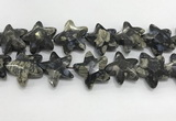 CFG985 15.5 inches 33*33mm carved star grey opal gemstone beads