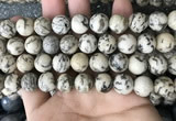 CFS404 15.5 inches 12mm round feldspar gemstone beads wholesale