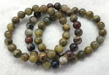 CGB2600 7.5 inches 9mm round natural pietersit beaded bracelets