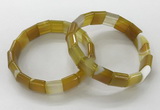 CGB3165 7.5 inches 12*15mm rectangle agate bracelets wholesale