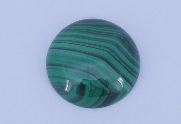 CGC17 20pcs 6mm flat round natural malachite gemstone cabochons