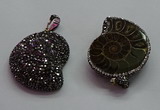 CGP1560 30*36mm - 35*45mm ammonite pendants wholesale