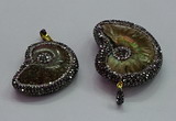 CGP1561 20*28mm - 25*35mm ammonite pendants wholesale