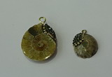 CGP270 15*18mm - 22*28mm ammonite pendants wholesale