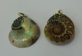 CGP271 25*30mm - 30*35mm ammonite pendants wholesale