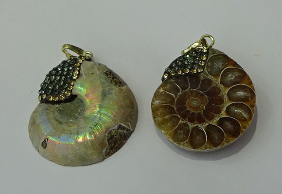 CGP271 25*30mm - 30*35mm ammonite pendants wholesale