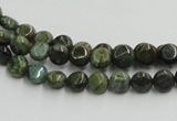 CGR14 16 inches 6mm flat round green rain forest stone beads wholesale