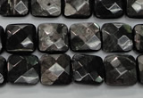 CHS26 15.5 inches 12*12mm faceted square natural hypersthene beads