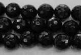 CHS47 15.5 inches 12mm faceted round natural hypersthene beads