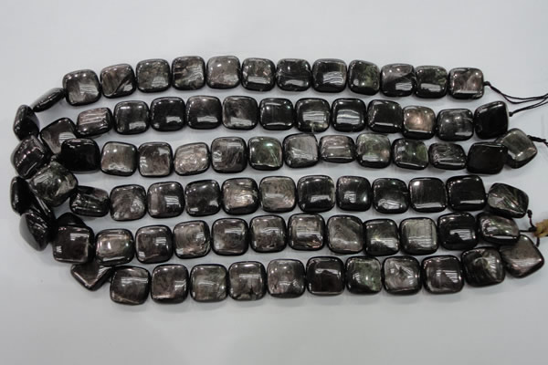 CHS82 15.5 inches 14*14mm square natural hypersthene beads