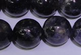 CIL06 15.5 inches 12mm round natural iolite gemstone beads