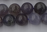 CIL102 15.5 inches 8mm round iolite gemstone beads wholesale