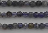 CIL116 15.5 inches 3mm faceted round iolite gemstone beads