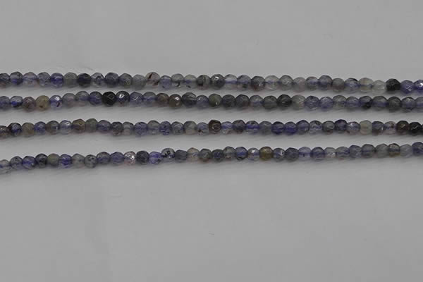 CIL116 15.5 inches 3mm faceted round iolite gemstone beads