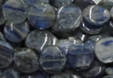 CKC02 16 inches 25mm flat round natural kyanite beads wholesale