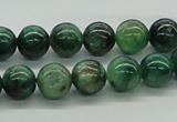 CKC102 16 inches 10mm round natural green kyanite beads