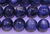 CKC404 15.5 inches 8mm round A grade natural blue kyanite beads