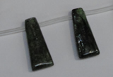 CKC73 15.5 inches 10*25mm trapezoid natural green kyanite beads