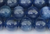 CKC791 15 inches 8mm round blue kyanite beads wholesale