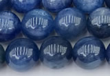 CKC794 15 inches 8mm round blue kyanite beads wholesale