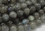 CLB03 16 inches 10mm round labradorite gemstone beads wholesale