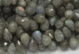 CLB07 16 inches 6*10mm faceted teardrop labradorite beads wholesale