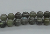 CLB100 15.5 inches 8mm round labradorite gemstone beads wholesale