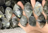 CLB1005 15.5 inches 18*35mm - 25*45mm marquise labradorite beads