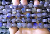 CLB1022 15.5 inches 10mm faceted coin labradorite gemstone beads