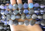 CLB1023 15.5 inches 12mm faceted coin labradorite gemstone beads