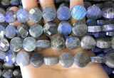 CLB1024 15.5 inches 14mm faceted coin labradorite gemstone beads