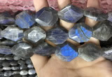 CLB1047 15.5 inches 18*22mm - 20*25mm faceted freeform labradorite beads