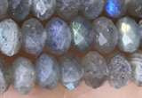 CLB1052 15.5 inches 4*6mm faceted rondelle labradorite gemstone beads